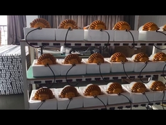 خط إنتاج مصنع إضاءة WEI لمصابيح الإضاءة LED المقاومة للماء.