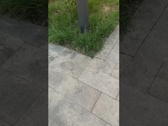 ✅ أضاء الحديقة أضاء العشب أضاء الحياة