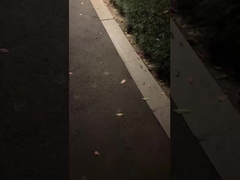 ياله من مصباح حديقة كلاسيكي يضيء ليلتك