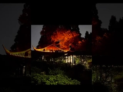 انظروا إلى هذا المصباح اللوان الساطع