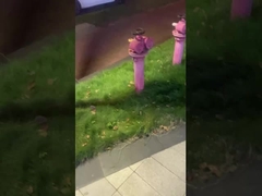 إضاءة المناظر الطبيعية الخارجية - الإضاءة العامة للشوارع والحدائق