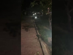 أضواء الممرات الخارجية - إضاءة المتنزهات