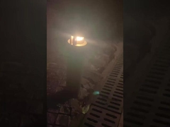 إضاءة الشوارع الخارجية مع المشهد العشبية في النظام!