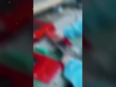 ضوء الحديقة LED الشكل التاريخي & مصباح كفاءة في استخدام الطاقة