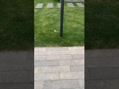 أفضل أضواء المناظر الطبيعية تظهر في مناطق الجذب السياحي