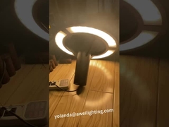 اختبار ضوء الحديقة الإضاءة المخصصة للجهد