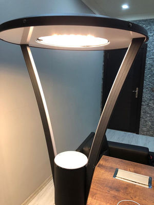 شراء مصابيح الحديقة ذات الجهد المنخفض المواد الألومنيوم 50 واط مصابيح الحديقة LED المصباحات المعتمدة CE ، RoHS مصابيح المناظر الطبيعية online manufacture